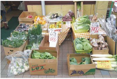 新鮮な野菜が並ぶ店頭