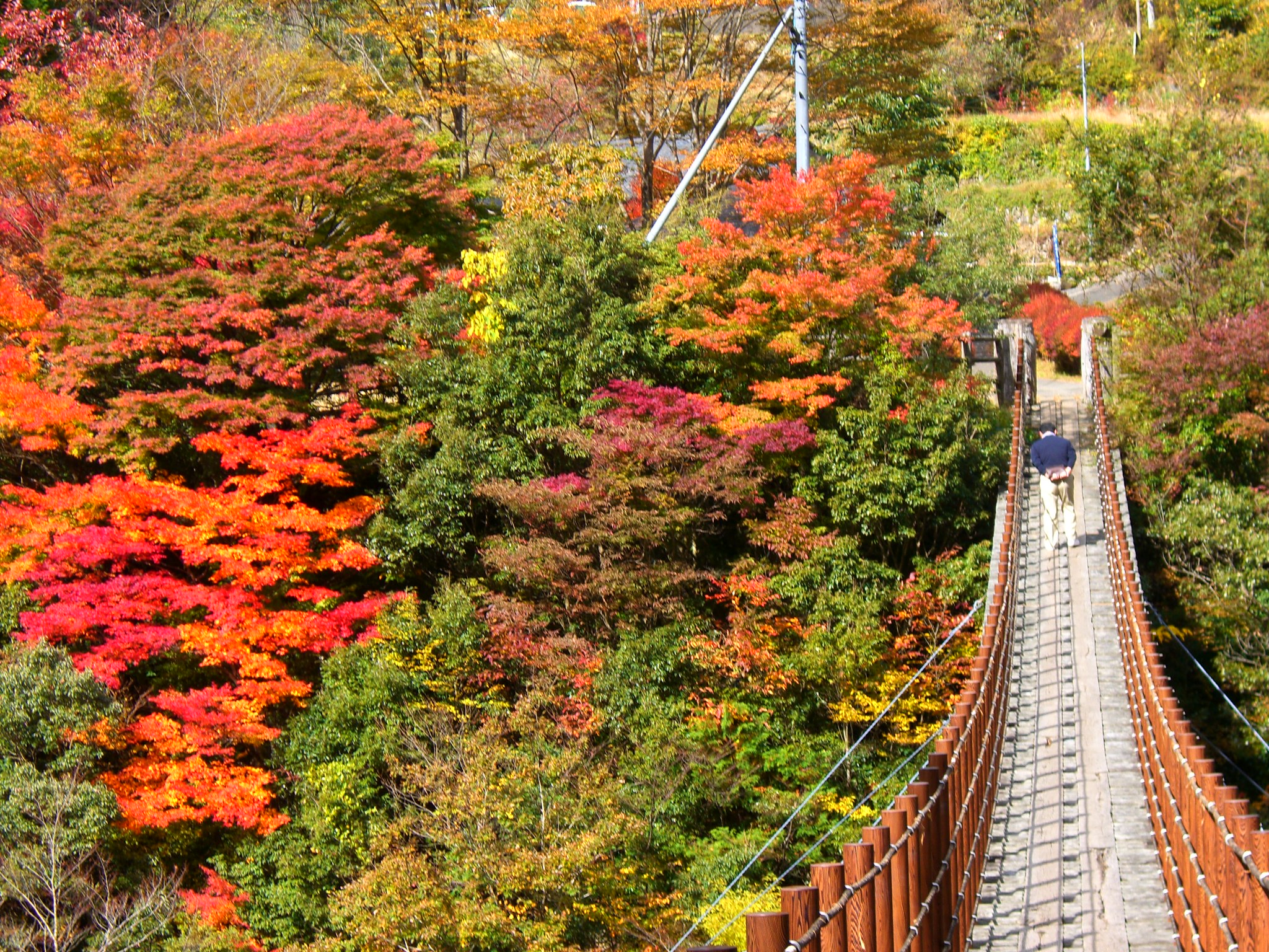 五家荘紅葉祭