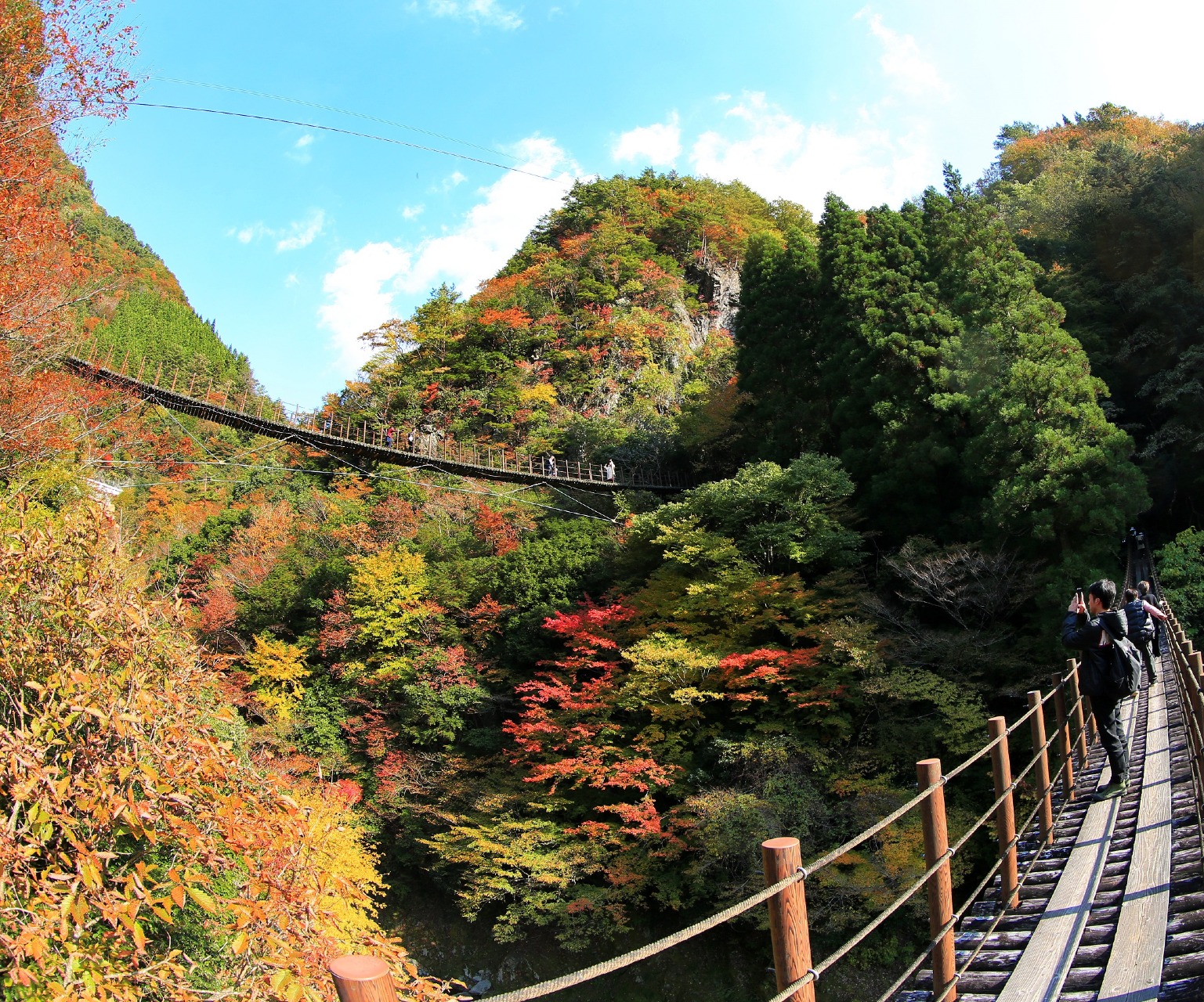 樅木の吊橋 | 観光・体験スポット | 【公式】八代市観光ポータルサイト