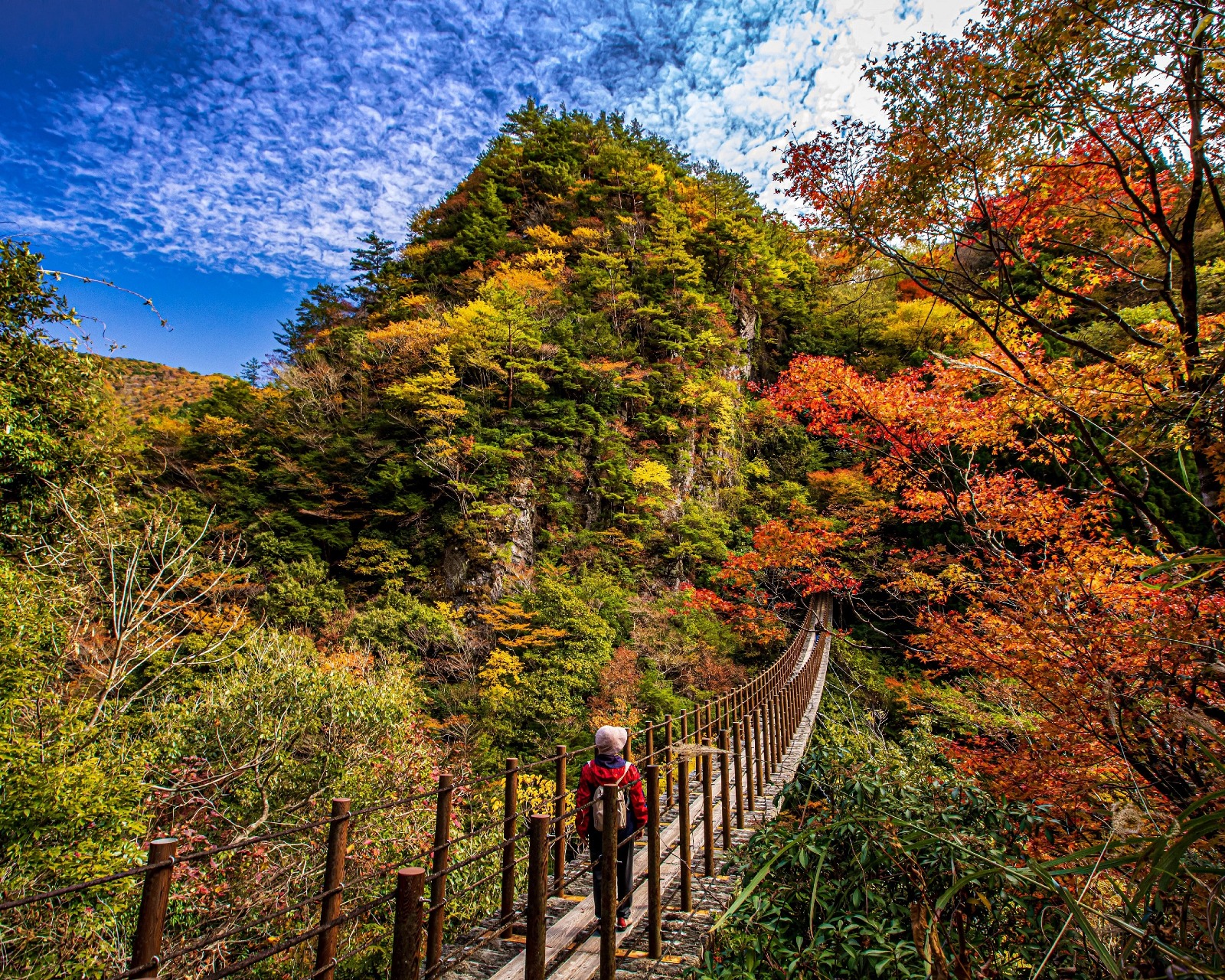 梅ノ木轟公園吊橋