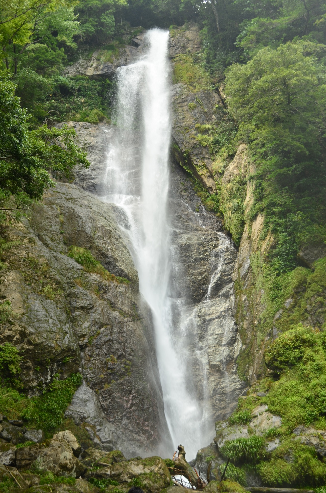 せんだん轟の滝 | 観光・体験スポット | 【公式】八代市観光ポータル