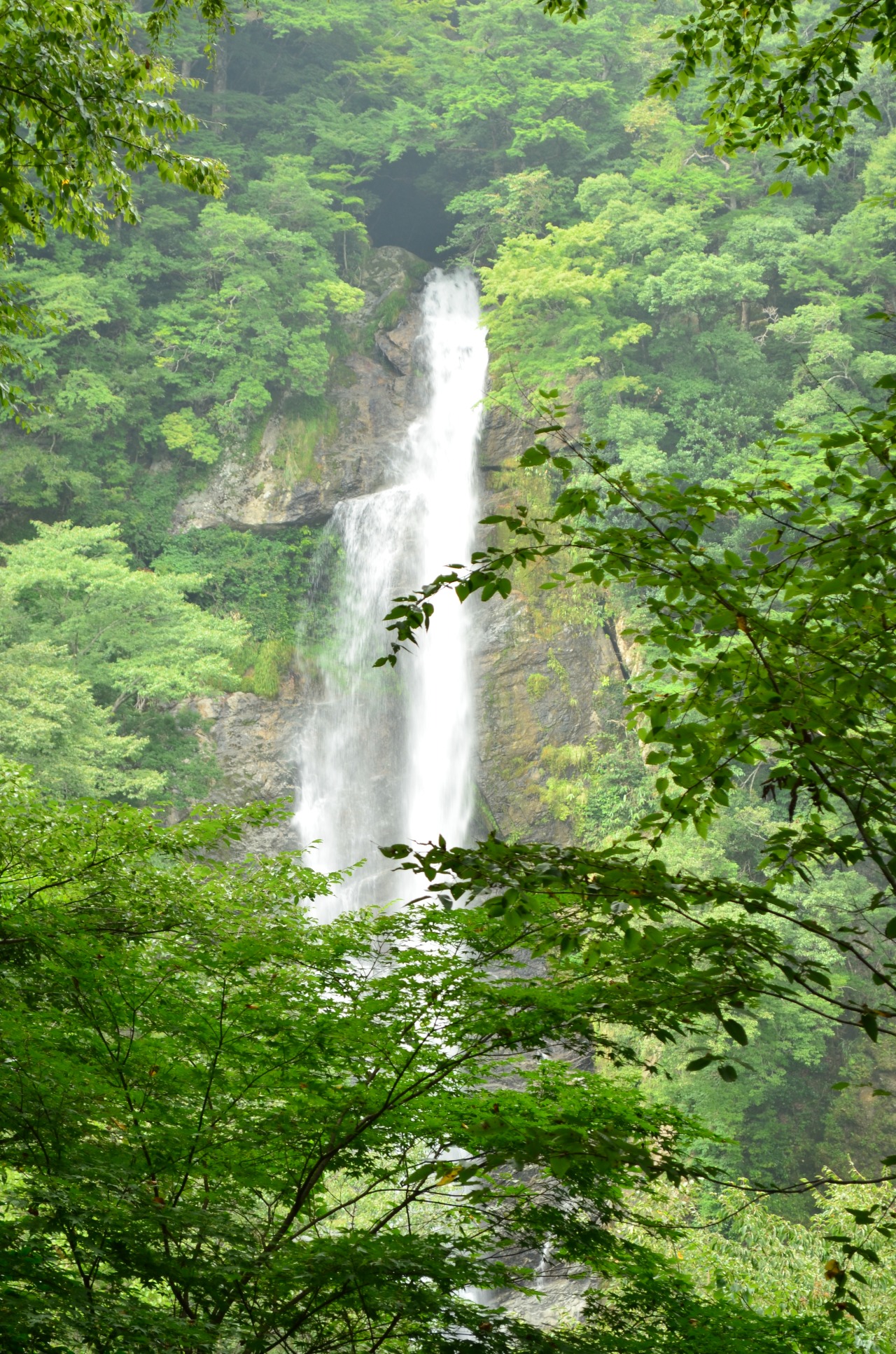 せんだん轟の滝 | 観光・体験スポット | 【公式】八代市観光ポータル