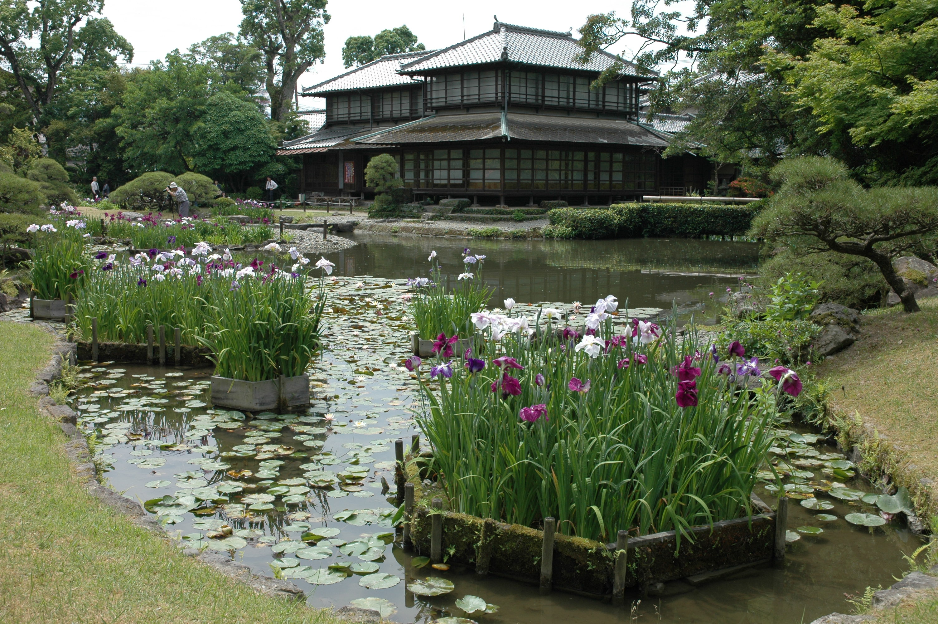 国指定名勝　旧熊本藩八代城主浜御茶屋（松浜軒）庭園